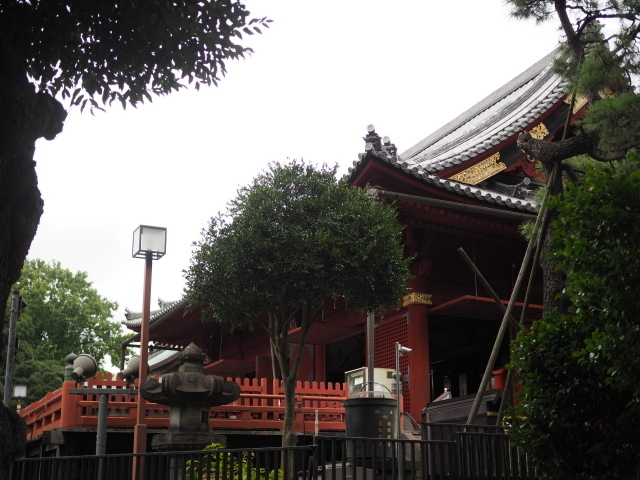 P8120434.jpg