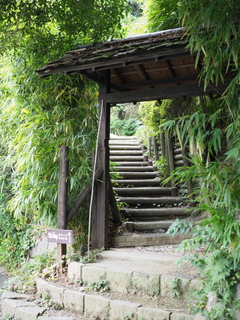 P9280414.jpg