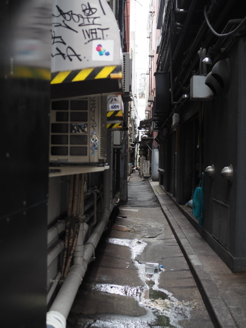 PA170654.jpg