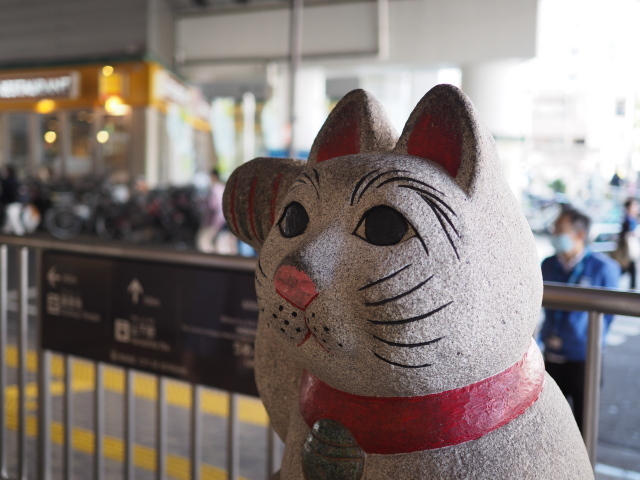 PA210430.jpg