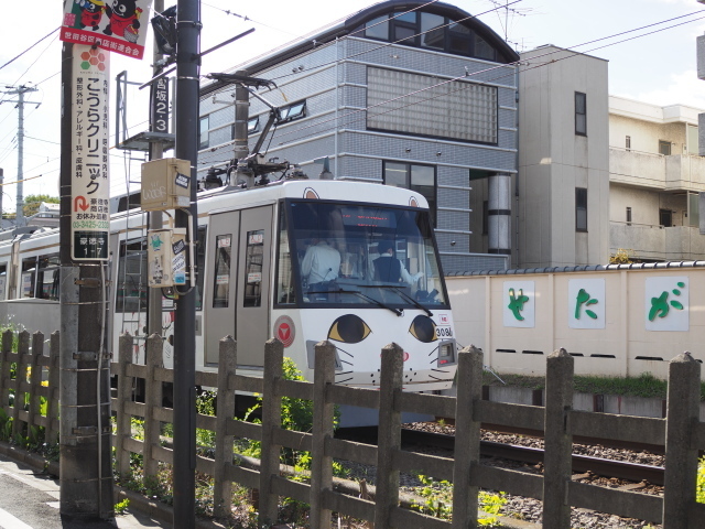 PA210445.jpg