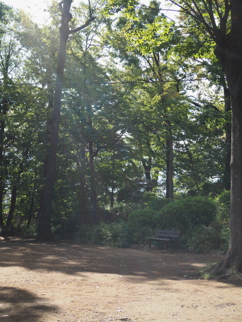 PA210480.jpg
