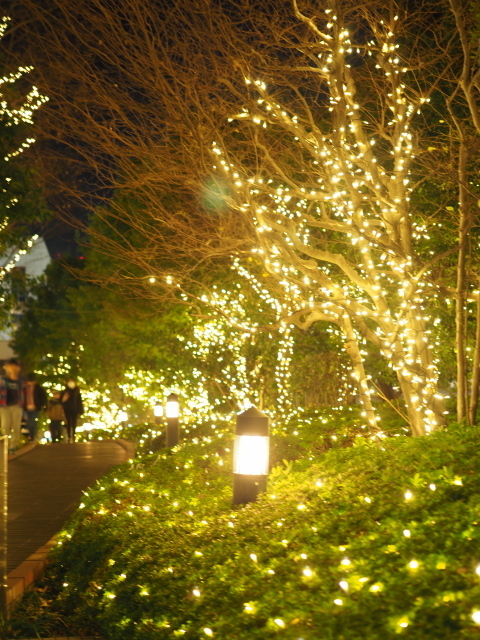 PC230386.jpg